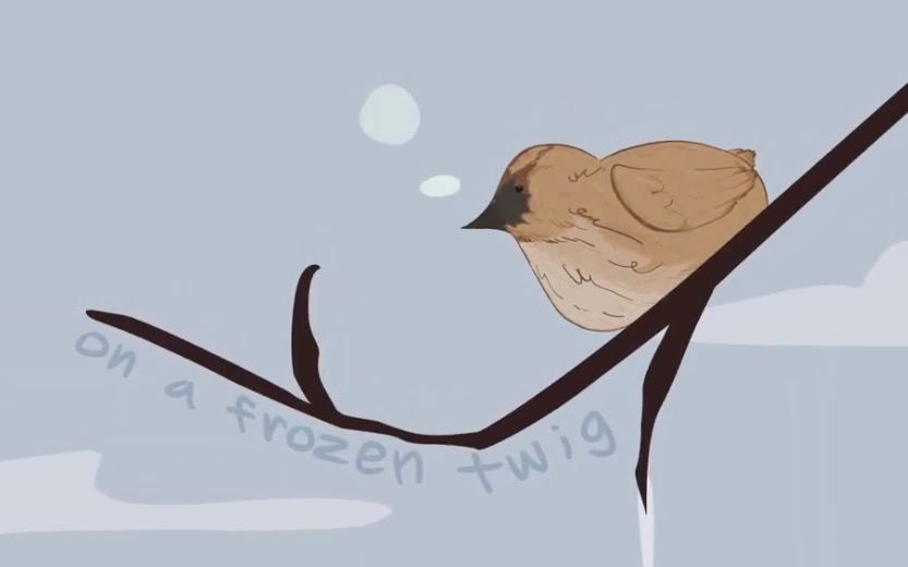 Winter Bird Haiku